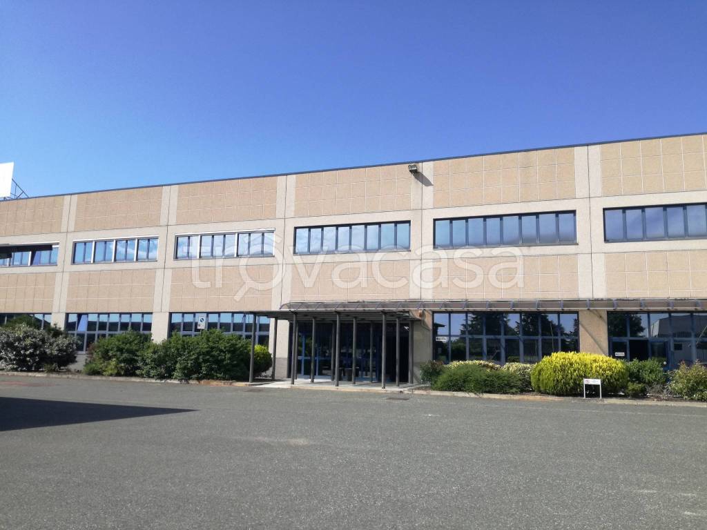 ufficio in affitto a Novi Ligure