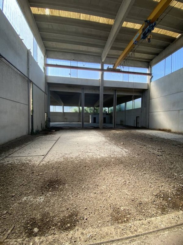 capannone in affitto a Casalpusterlengo