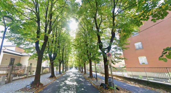 appartamento in affitto a Casalpusterlengo