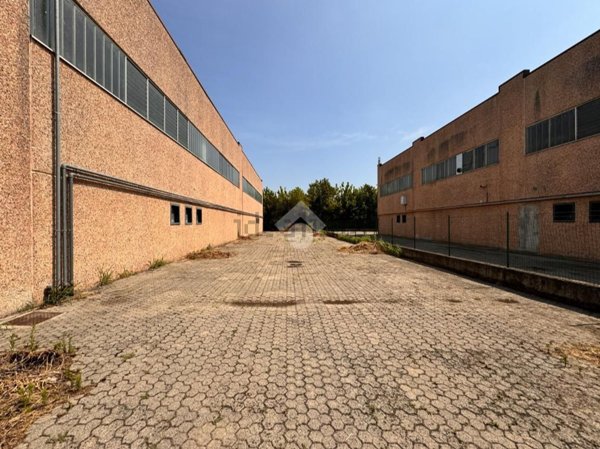 terreno edificabile in affitto a Codogno