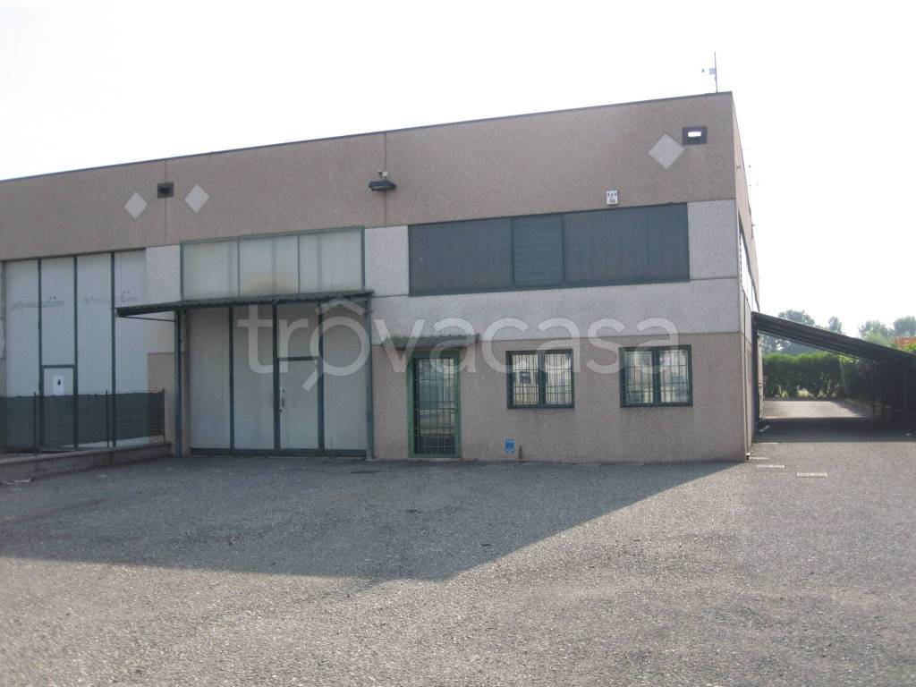 appartamento in affitto a Codogno