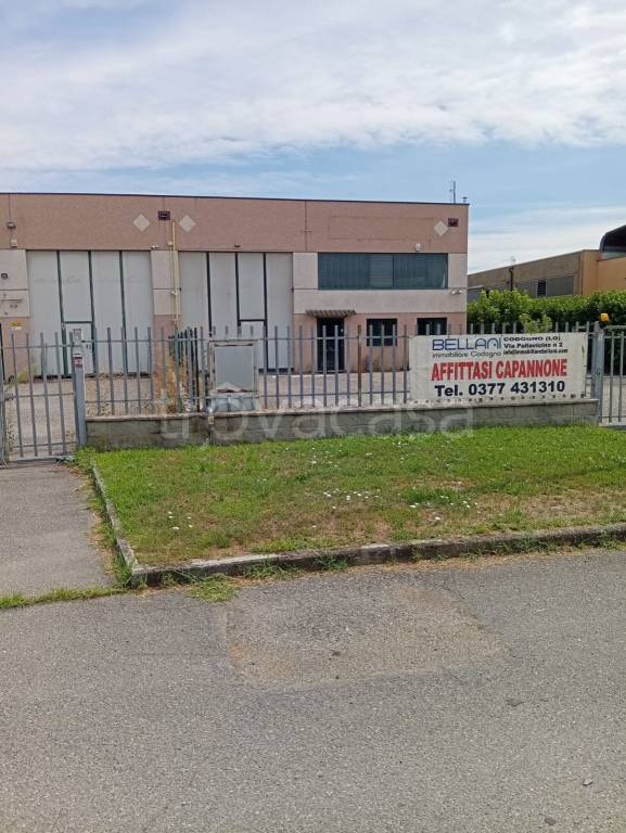 locale commerciale in affitto a Codogno