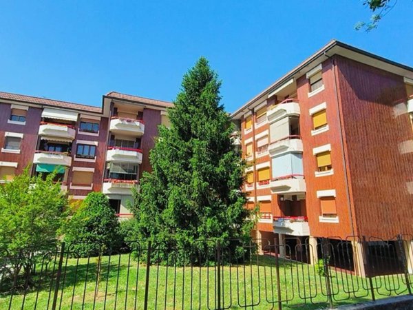 appartamento in affitto a Codogno