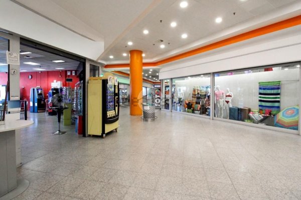 negozio in affitto a Codogno in zona Triulza