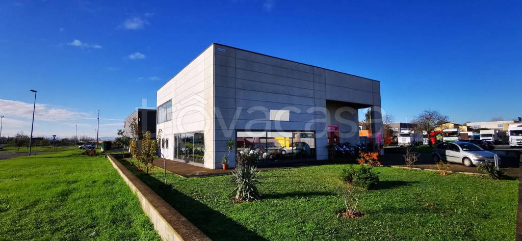 appartamento in affitto a Codogno