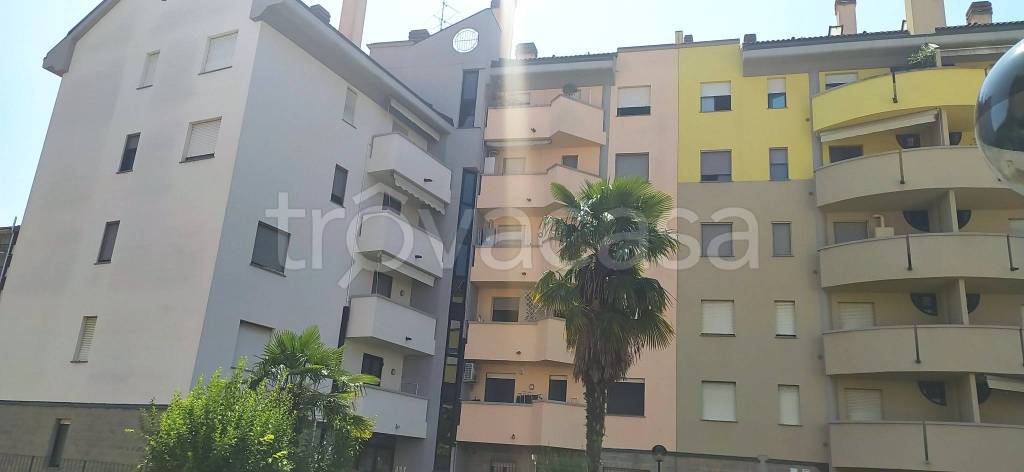 appartamento in affitto a Lodi in zona Fanfani