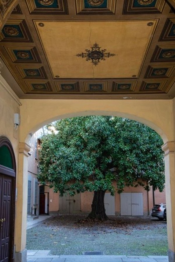 appartamento in affitto a Lodi in zona Centro Storico