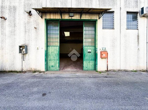 immagine annuncio 0 di 1