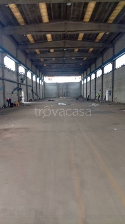locale commerciale in affitto a Somaglia