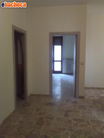 appartamento in affitto a San Salvatore Monferrato