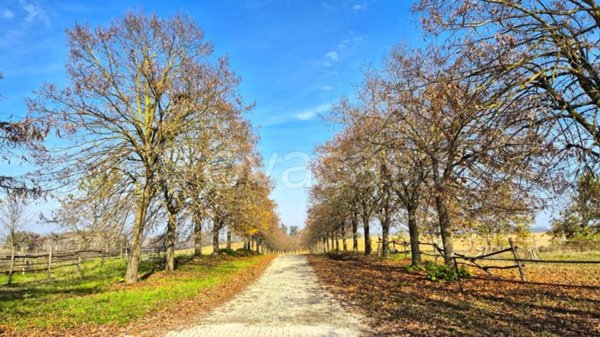 negozio in affitto a San Salvatore Monferrato