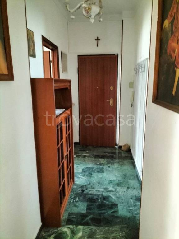 immagine annuncio 0 di 14