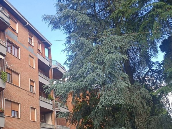 appartamento in affitto a Valenza