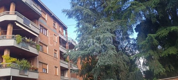 immagine annuncio 0 di 12