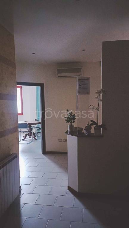 appartamento in affitto a Cattolica