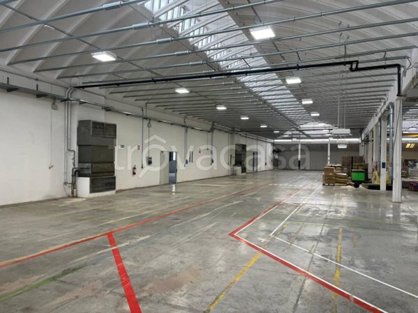 capannone in affitto a Coriano