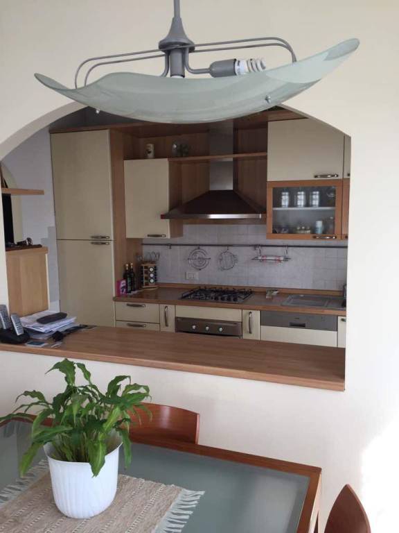 casa indipendente in affitto a Misano Adriatico