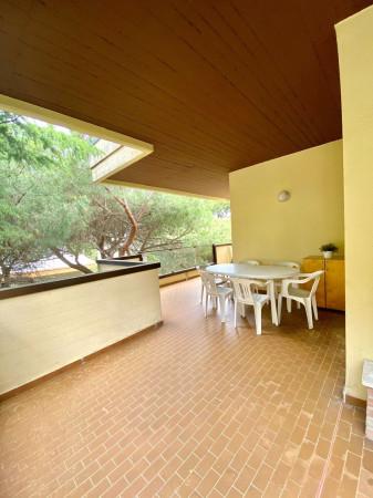 appartamento in affitto a Riccione