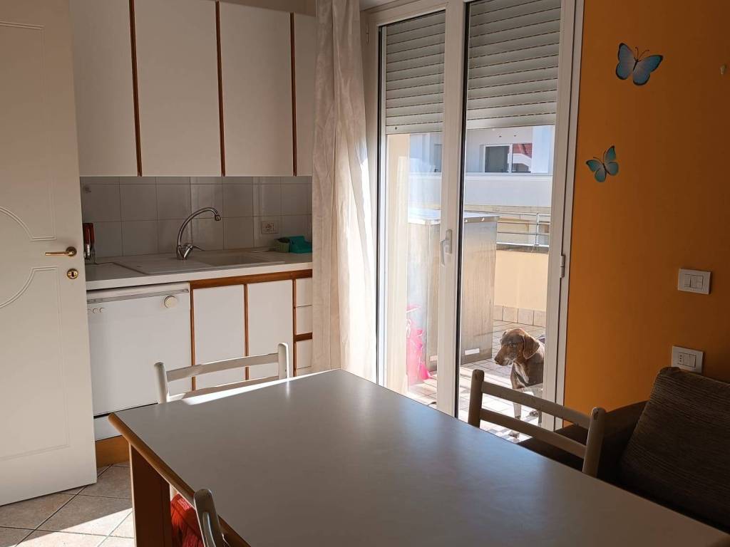 appartamento in affitto a Riccione in zona Alba