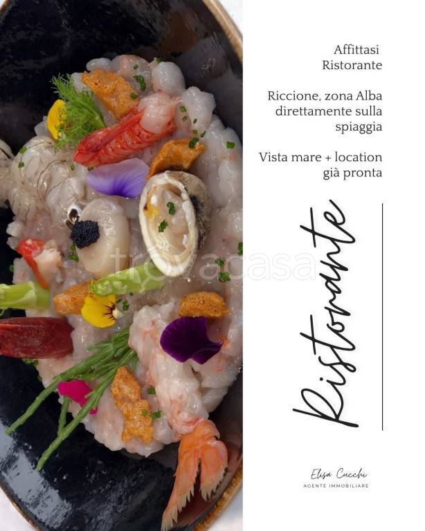 negozio in affitto a Riccione in zona Alba