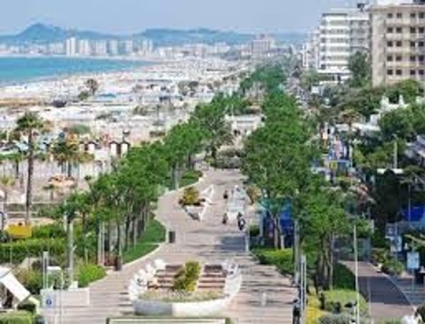 negozio in affitto a Riccione