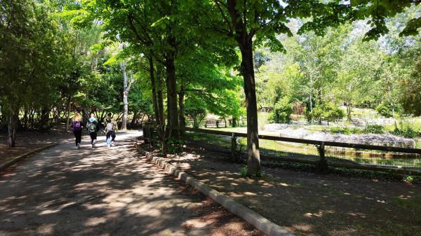 appartamento in affitto a Riccione in zona Alba