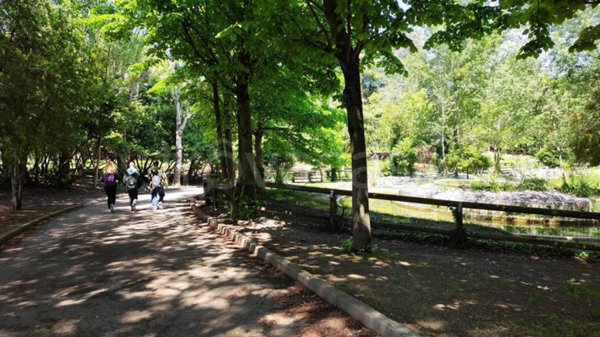 appartamento in affitto a Riccione