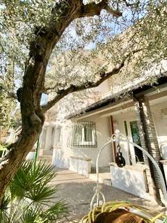 casa indipendente in affitto a Riccione in zona Alba