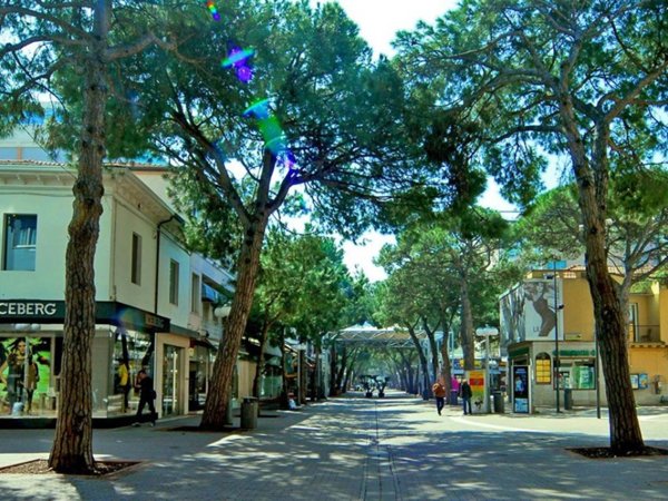 appartamento in affitto a Riccione in zona Alba