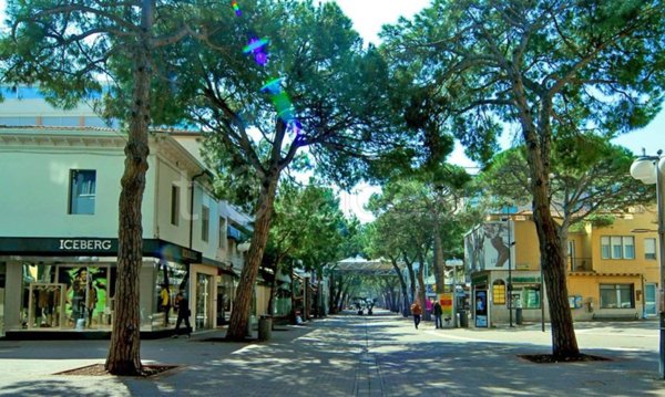 appartamento in affitto a Riccione in zona Alba