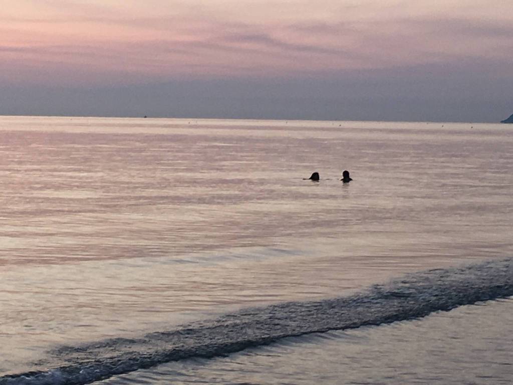 appartamento in affitto a Riccione in zona Alba