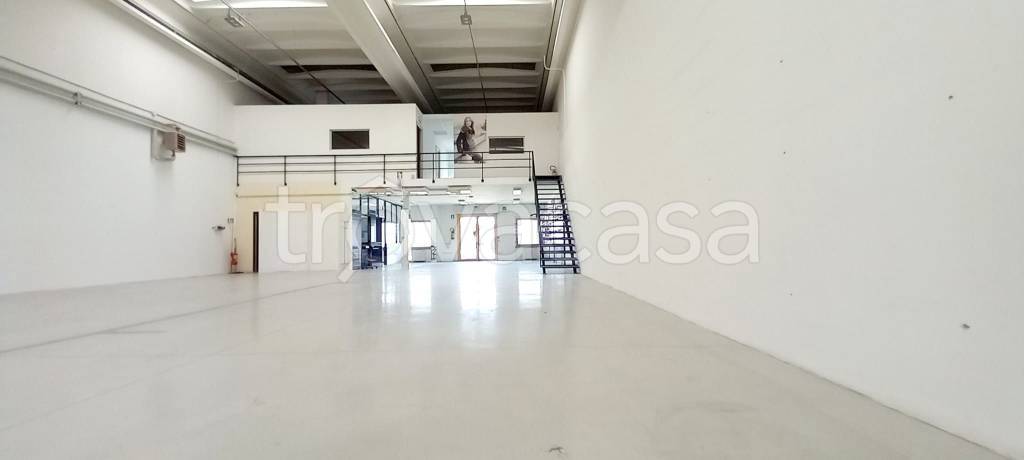 appartamento in affitto a Rimini
