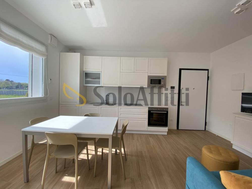 appartamento in affitto a Rimini