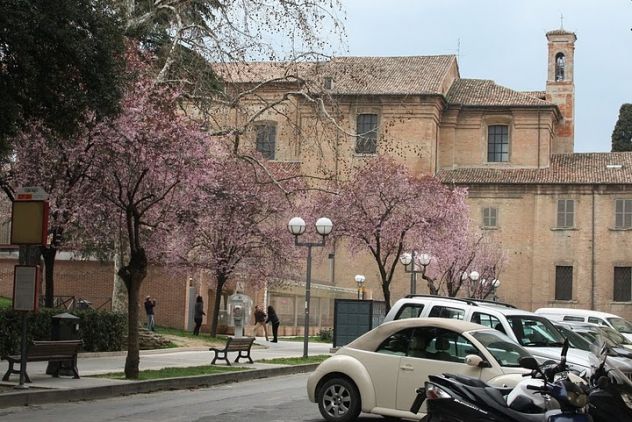 camera singola in affitto a Rimini in zona Centro Storico