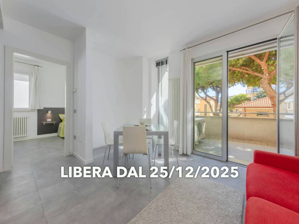 appartamento in affitto a Rimini in zona Marina Centro