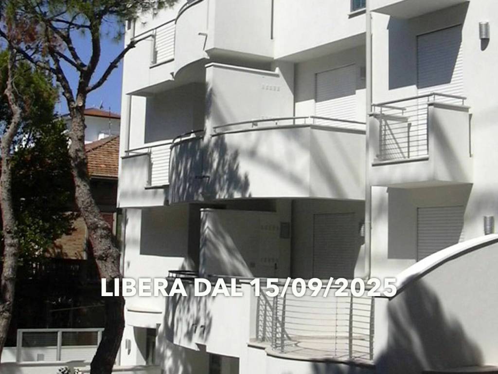 appartamento in affitto a Rimini in zona Marina Centro
