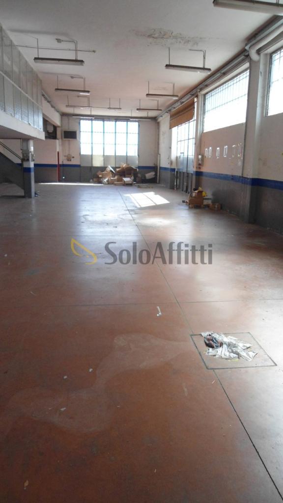 appartamento in affitto a Rimini