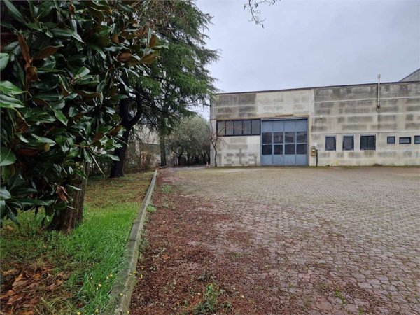 ufficio in affitto a Rimini in zona Viserba