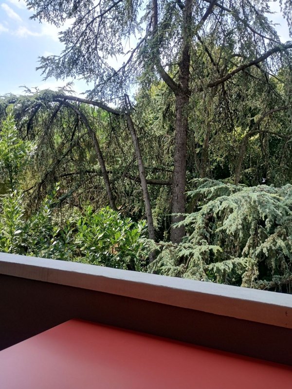 appartamento in affitto a Rimini in zona Fiera Vecchia