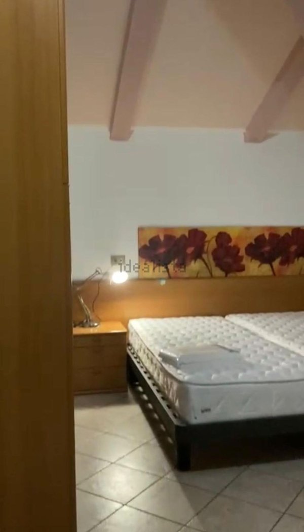 appartamento in affitto a Rimini