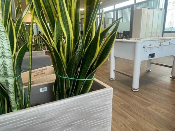 negozio in affitto a Rimini in zona Grotta Rossa