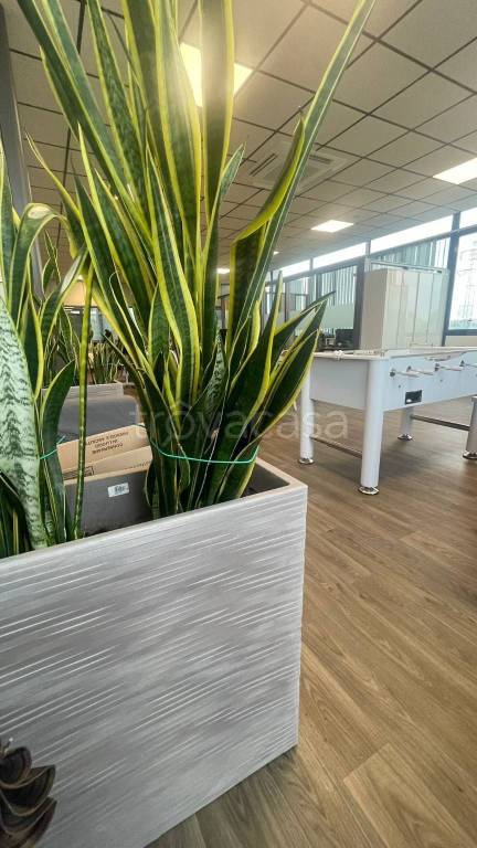 negozio in affitto a Rimini in zona Grotta Rossa