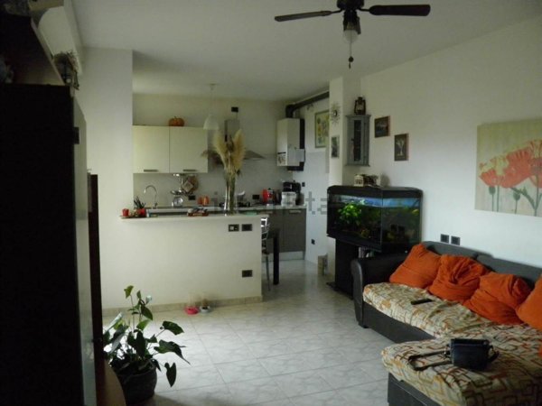 appartamento in affitto a Rimini in zona Viserba