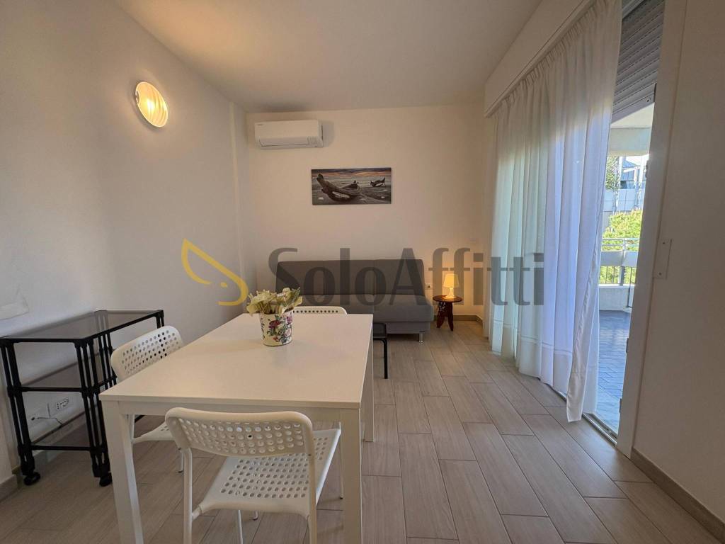appartamento in affitto a Rimini in zona Marina Centro