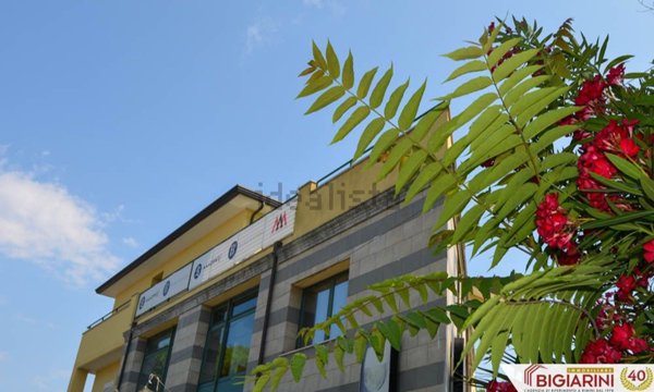 appartamento in affitto a Rimini