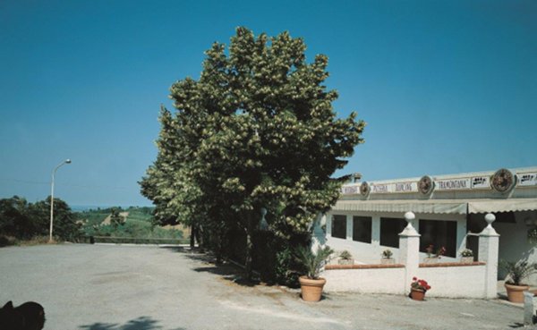 negozio in affitto a Verucchio in zona Villa Verucchio