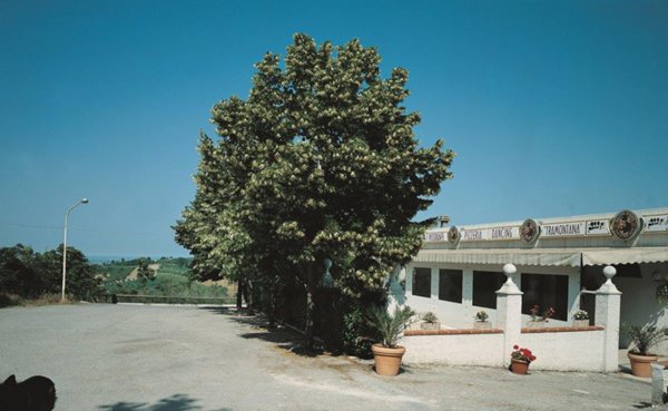 negozio in affitto a Verucchio in zona Villa Verucchio