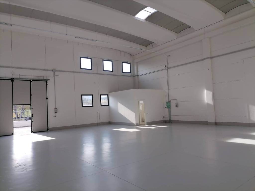 locale commerciale in affitto a Carmignano