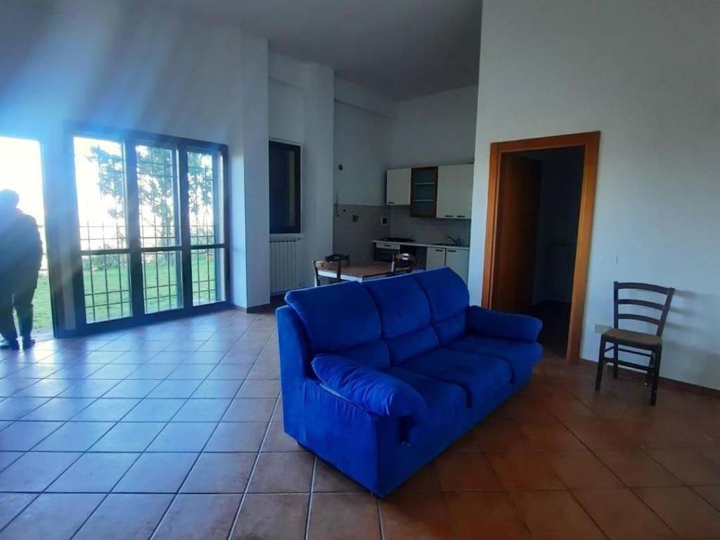 appartamento in affitto a Carmignano