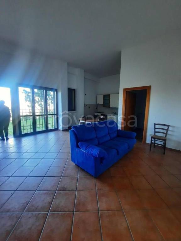 appartamento in affitto a Carmignano